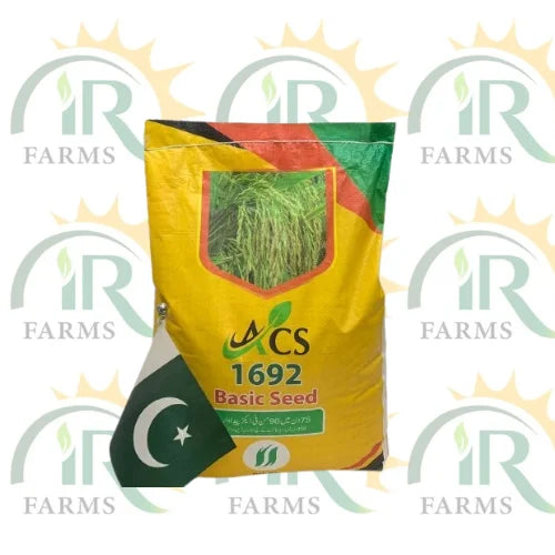 Rice Seed 1692 5kg Pusa Basmati Aroma Abid Crop Science Basic Seed Paddy Seed 1692 چاول کے بیج 1692 Original