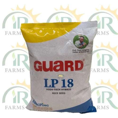 Lp 18 Hybrid Rice Seed 2kg Gaurd Rice Company High Tech Hybrid Rice Seed Father Of Hybrid Rice Longping Paddy Seed LP18