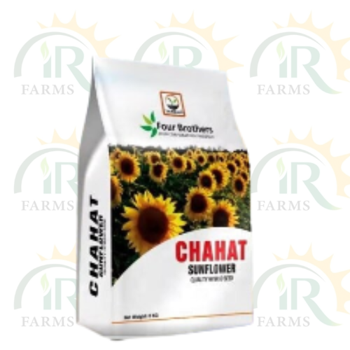 Chahat 2kg Chahat Sunflower Seed Hybrid Seed Four Brothers Tarzan IR Farm