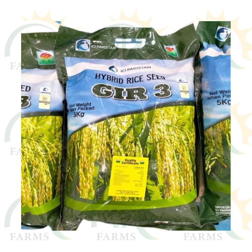 Hybrid Rice Seed Gir-3 5kg Ici Pakistan Lci Pakistan Hybrid Paddy Seed