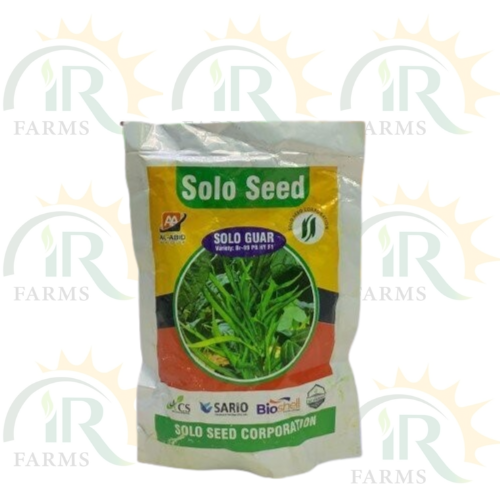 Solo Guar Seed Hybrid F1 BR 99 PB 100gm Cluster Beans Seeds gawar/guar/guvar /gokarakaya/kotthavarai /kothamara Seed Solo Seeds Abid Crop Group IR Farm