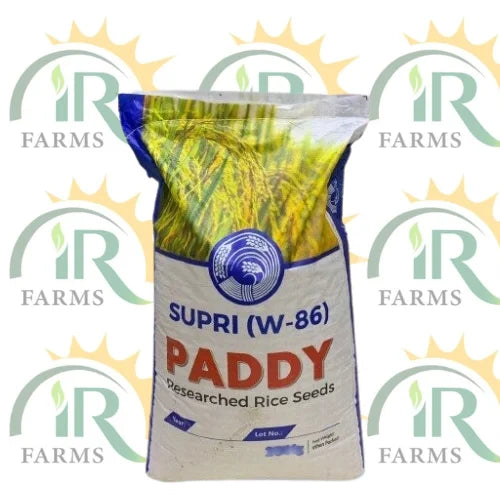 Supri Rice Seed White-86 10kg Paddy Seed For Early Sowing