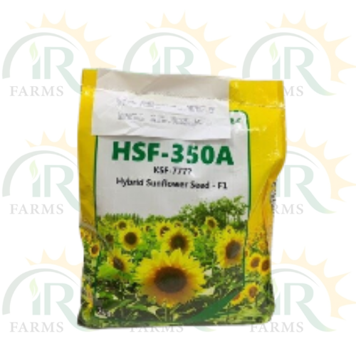 Sunflower Seed 2kg Hybrid Sunflower Seed F1 Evyol Group Combagro Certus Seed KSF 7777 IR Farm