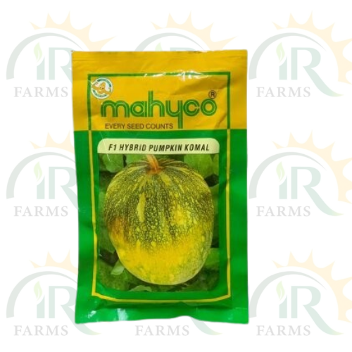 Pumpkin Komal Hybrid Seed F1 50gm Mahyco Every Seeds Count Imp Ntl Seed Company IR Farm