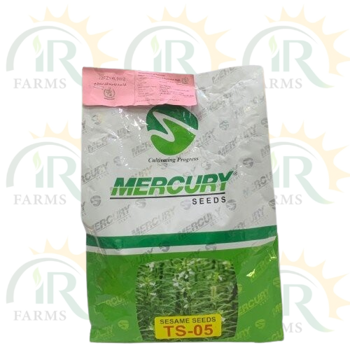 Sesame Seed Th-5 2kg Mercury Seeds Seasame Till Seed Pure Organic White Sesame Seed TS 05 IR Farm