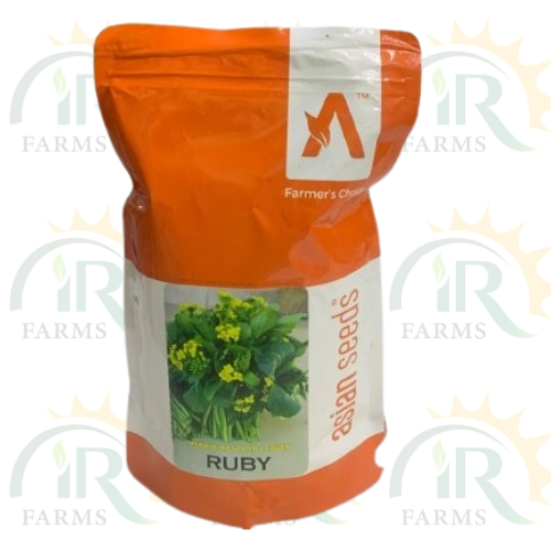 Saag Ruby Hybrid Mustard Leaves Seeds F1 500gm Ntl Seeds Asian Seeds IR Farm