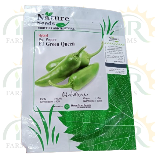 Nature Seeds Hot Pepper Hybrid F1 "Green Queen" - 10g by Moon Star Seeds | Medium Tall, Vigorous Plants | Early Maturity (65 Days) | Long Harvest Cycle | 5-7 cm Green Fruits | Powdery Mildew Resistant | Dual Purpose | High Yield (40-50 Tons/Acre) IR Farm