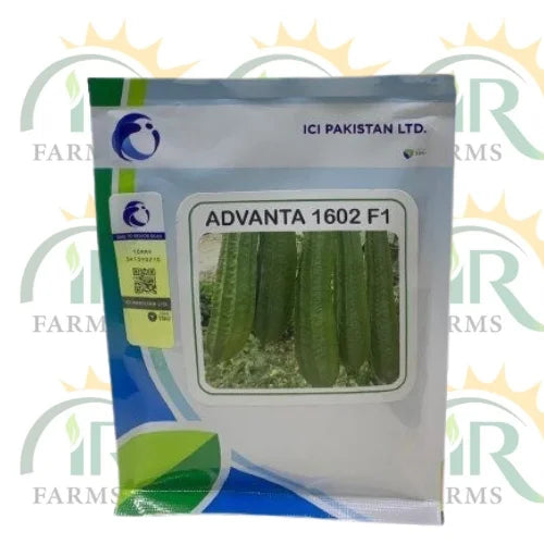 Ridge Gourd Advanta 1602 F1 Tori 50gm Ici Pakistan Luck Core Industries Lci Hybrid Seed