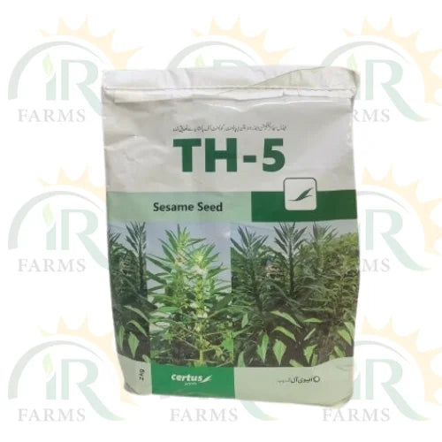 Sesame Seed TS-5 2kg Combagro Evyol Kanzo Seasame Till Seed Pure Oranic White Sesame Seed Bushy Plant Sesame TH 05