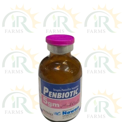 Penbiotic 5gm NAWAN Pencillin Veterinary Medicine Penbiotic Strepto Penicillin Injection Nawan Laboratories Veterinary Drugs│Veterinary Products IR Farm