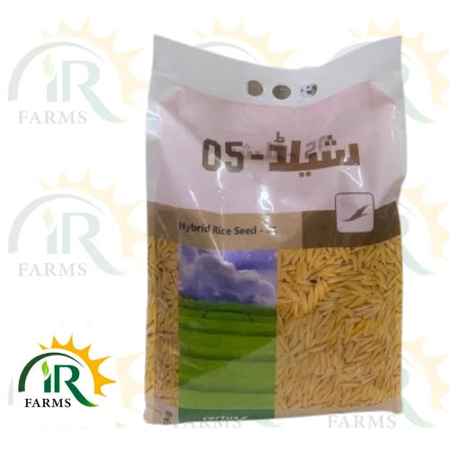 Hybrid Rice Seed Sheild 05 5kg Evyol Group Hybrid Paddy Seed چاول کا بیج Combagro Kanzo Certus Seed