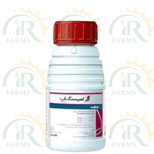 Amistar Top 200Ml 200g/L Azoxystrobin 125g/L Difenoconazole Fungicide Syngenta Pakistan IR Farm