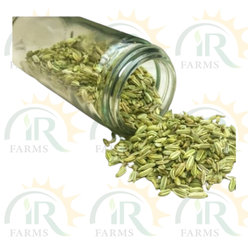 Fennel Seed 1kg Saunf Ka Beej IR Farm Kissan Aarrth سونف کی فصل IR Farm