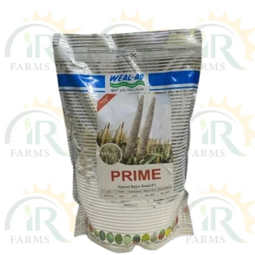 Prime Bajra 2kg Hybrid Bajra Pearl Millet Welcone Chemicals Weal Ag Corporation Thick Grain Bajra