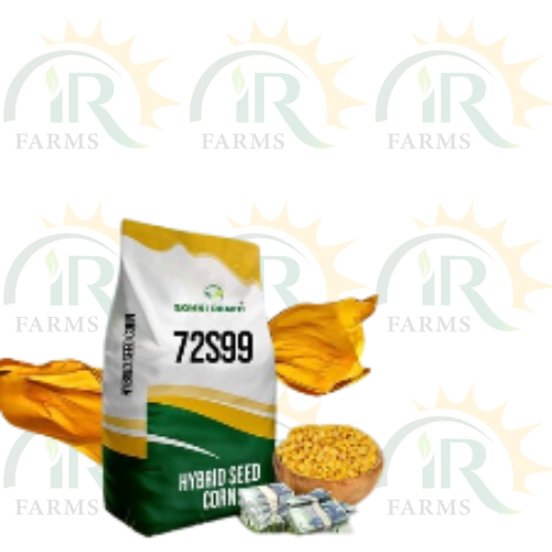 72S99 Sohni Dharti Corn Seed Pakistan 10kg Spring Corn Seed Grain Corn Hybrid Corn Seed Top Quality Corn Seed Maize Seed ہایبریڈ بیج بہار یہ مکئی IR Farm