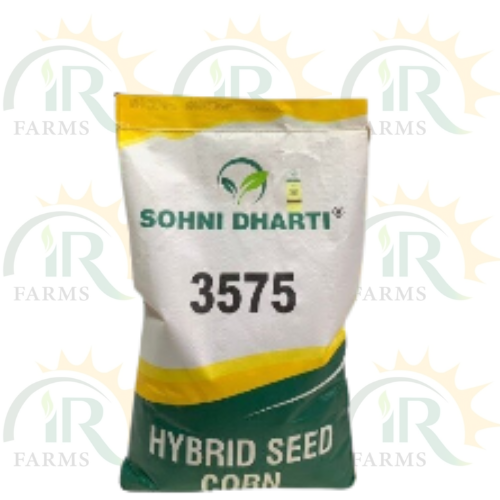 3575 Sohni Dharti Corn Seed Pakistan 10kg | Spring Corn Seed | Grain Corn | Hybrid Corn Seed | Top Quality Corn Seed Maize Seed ہایبریڈ بیج بہار یہ مکئی IR Farm