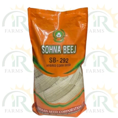 Sb 292 10kg White Hybrid Corn Seed White Moti 3500 Kernels Kissan Seed Corporation Sona Beej Sohna Beej white corn seed white maize seed