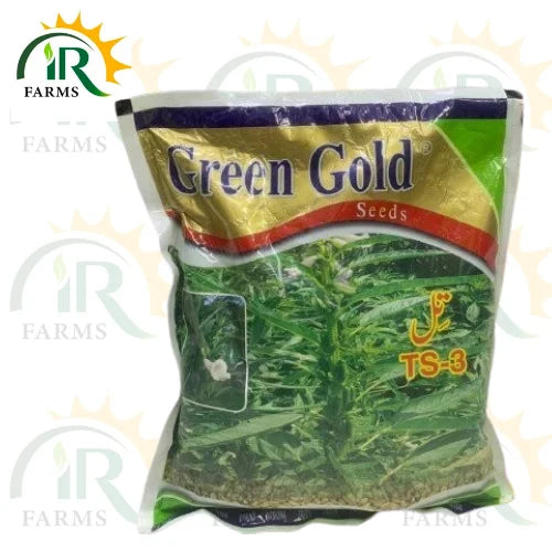 Sesame Seed Ts 03 1kg Green Gold/Green Power/top grow Farmi Till Beej تل کا بیج