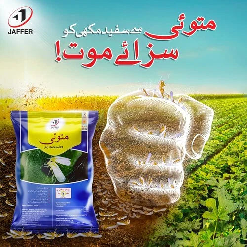 Matoi 20wg 50gm Insecticide Pyrifluquinazon For Whiteflies Jaffer Agro Services IR Farm