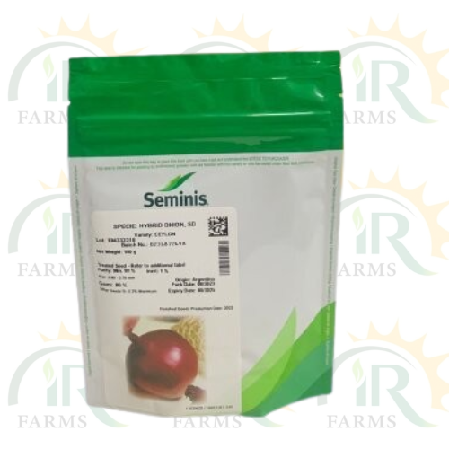 Onion Hybrid Ceylon 100gm Seminis Seed Piyaz Ka Beej Origin : Argentina IR Farm