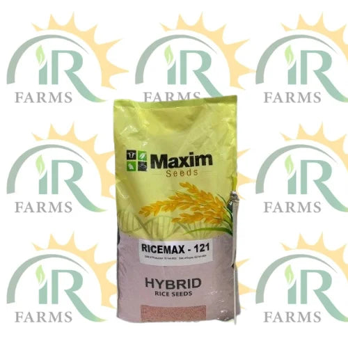 Hybrid Rice Seed Ricemax 121 5kg Maxim Agri Pvt Ltd Hybrid Paddy Seed Alike White چاول کا بیج