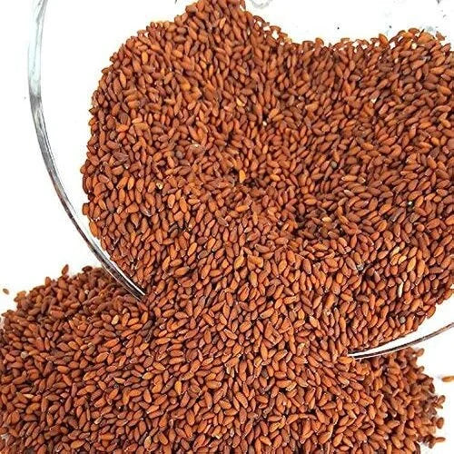 Halya Seed 1kg Asaliya / Halam / Halim Seed