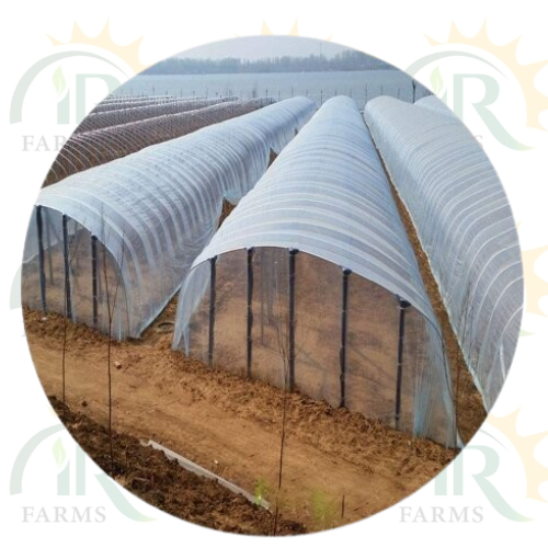 High Tunnel film or Green House film plastic covering for winter ice rink liner plastic sheeting heavy duty greenhouse plastic transparency film Garden Cover white rainproof Waterproof membrane white/transparent Walk in Tunnel 20/22 IR Farm