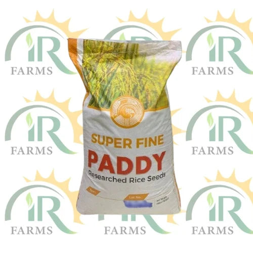 Super Fine 10kg Super Fine Rice Seed Paddy Seed For Early Sowing Beej Munji Chawal