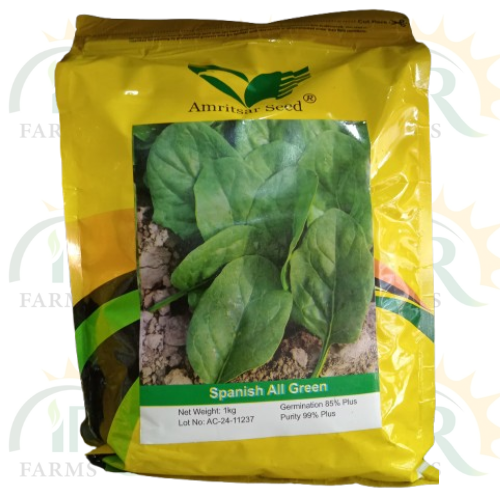 Spanish Seed All Green Palak Beej - 1kg | Premium Spinach Seeds for High-Yield, Nutritious Greens with Robust Growth IR Farm