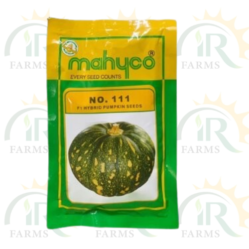 Pumpkin No. 111 Hybrid Seed F1 50gm Mahyco Every Seed Counts Imp Ntl Seed Company IR Farm