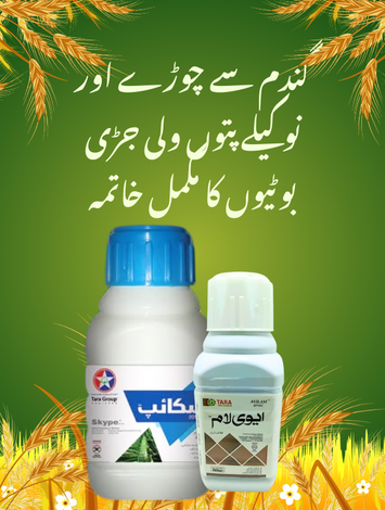Avilam 42 SC + Skype 20EC Herbicide Combo Pack | Effective Weed Control for Field Crops