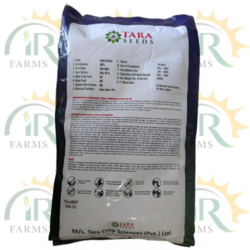 Tara TG 4557 Hybrid Corn Seeds - 35,000 High-Yield Seeds