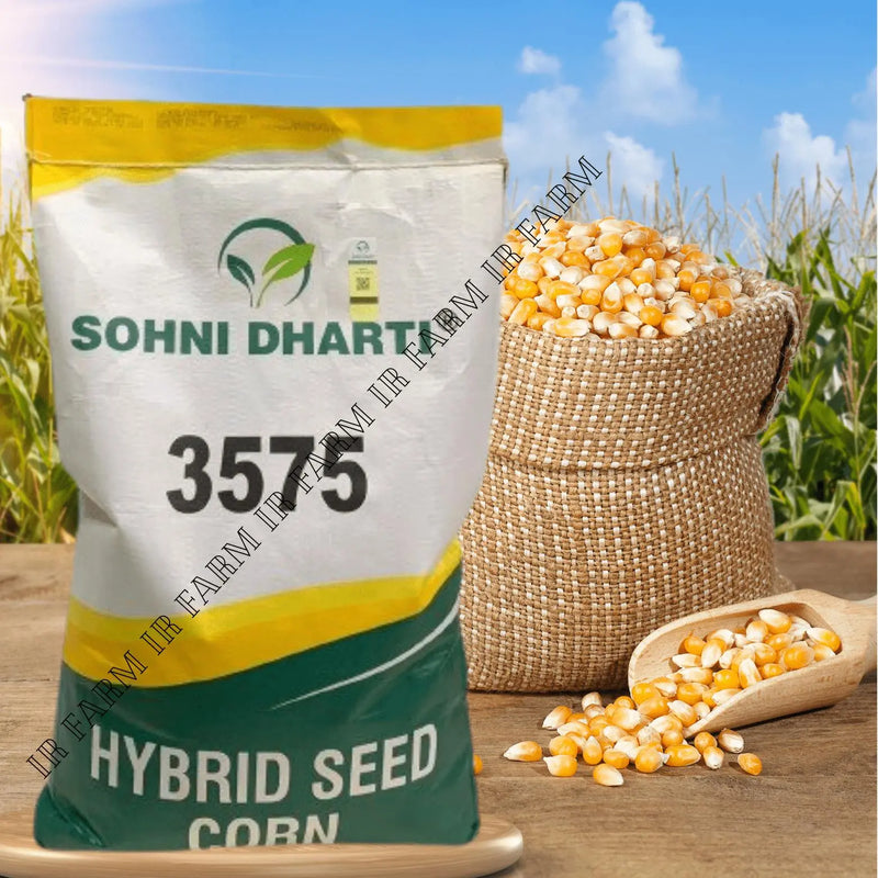 3575 Sohni Dharti Corn Seed - IR Farm