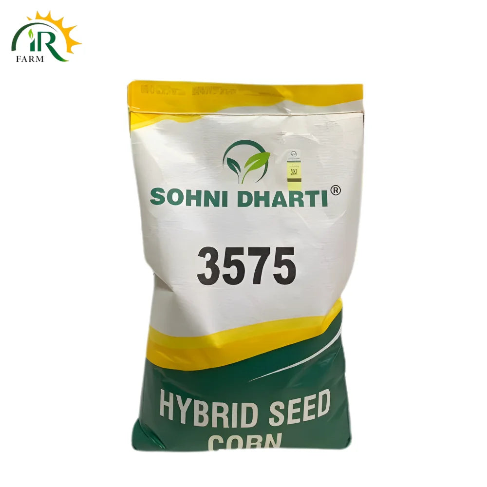 3575 Sohni Dharti Corn Seed - Hybrid Quality 10kg - Best Yielding Corn Seed for Farmers