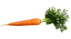 carrot