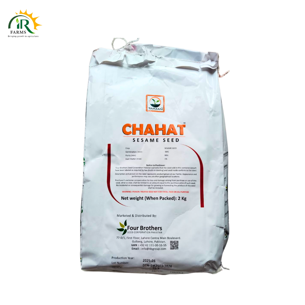 Sesame Seed 2kg 