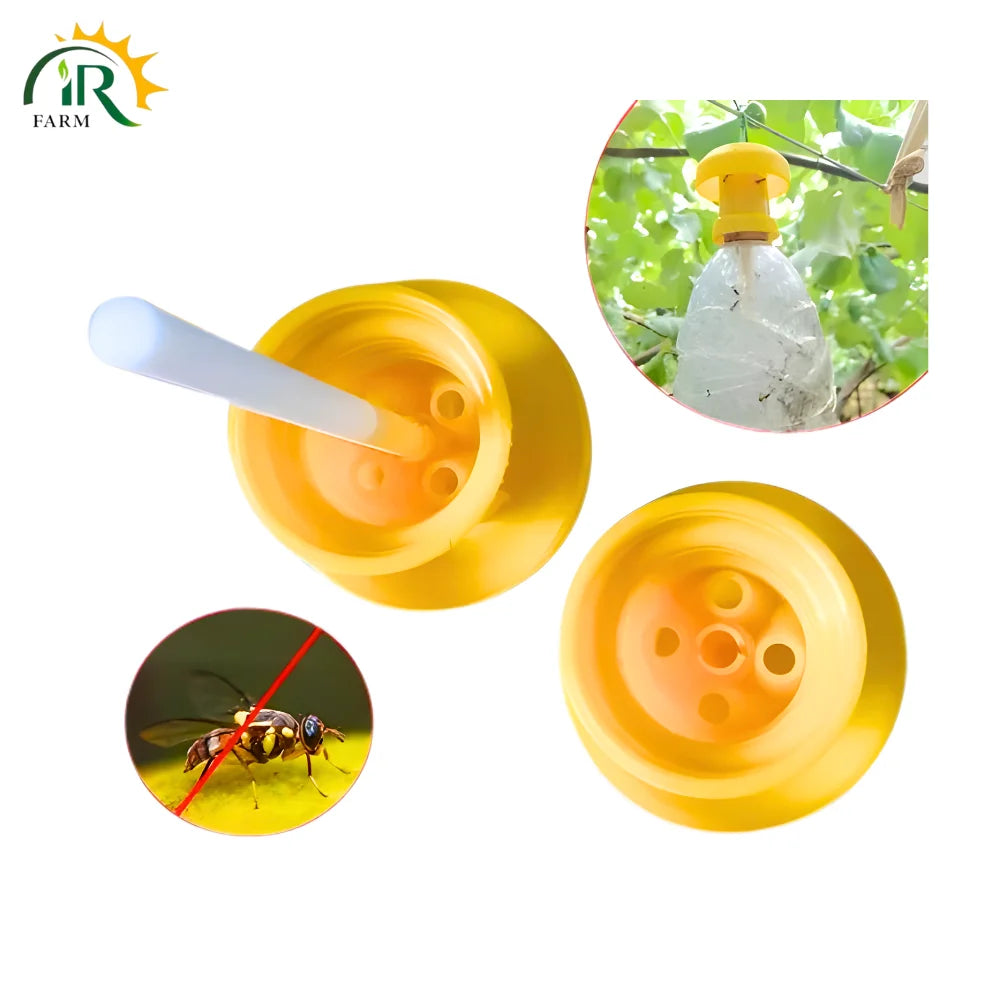 Fruit Fly Trap 