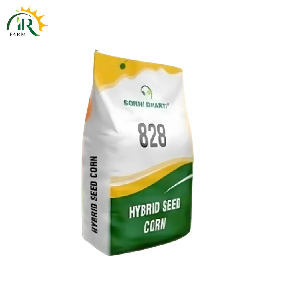 828 Hybrid Corn Seed (10kg) – High-Yield Sohni Dharti Maize for Silage & Grain