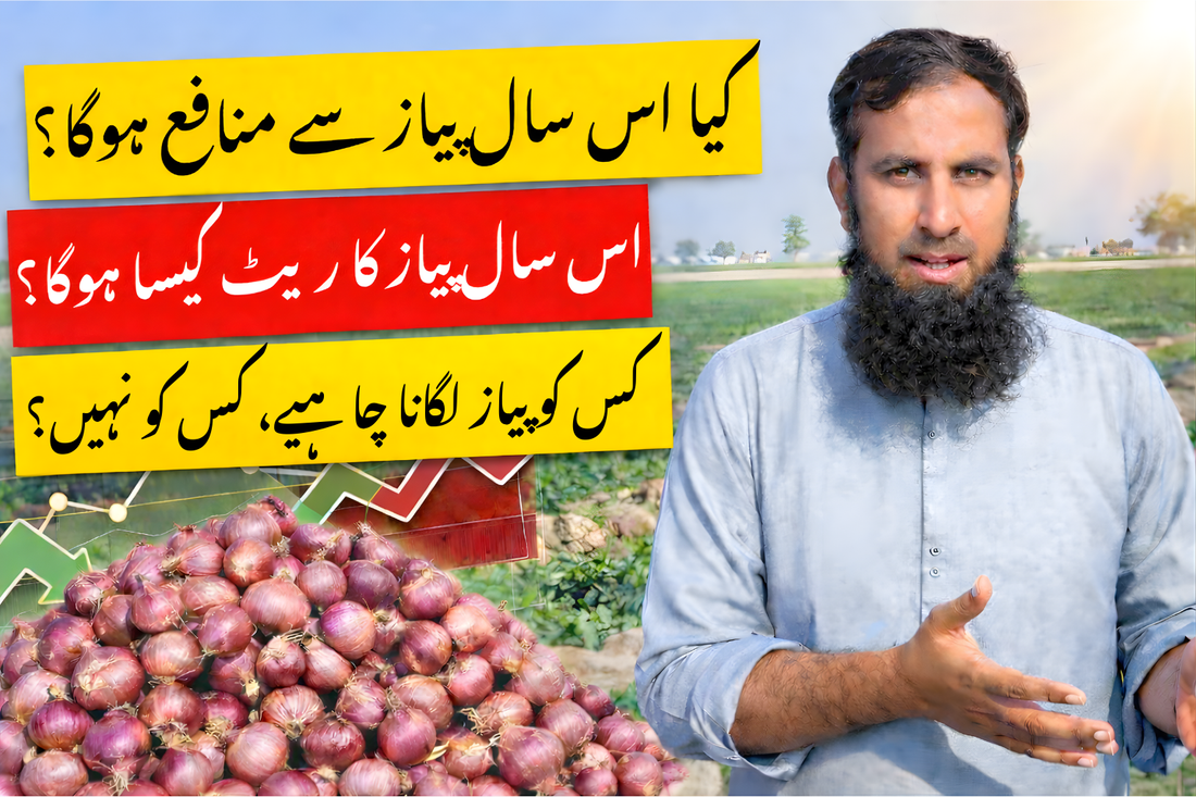 IR Farm | Best Online Agriculture Store In Pakistan