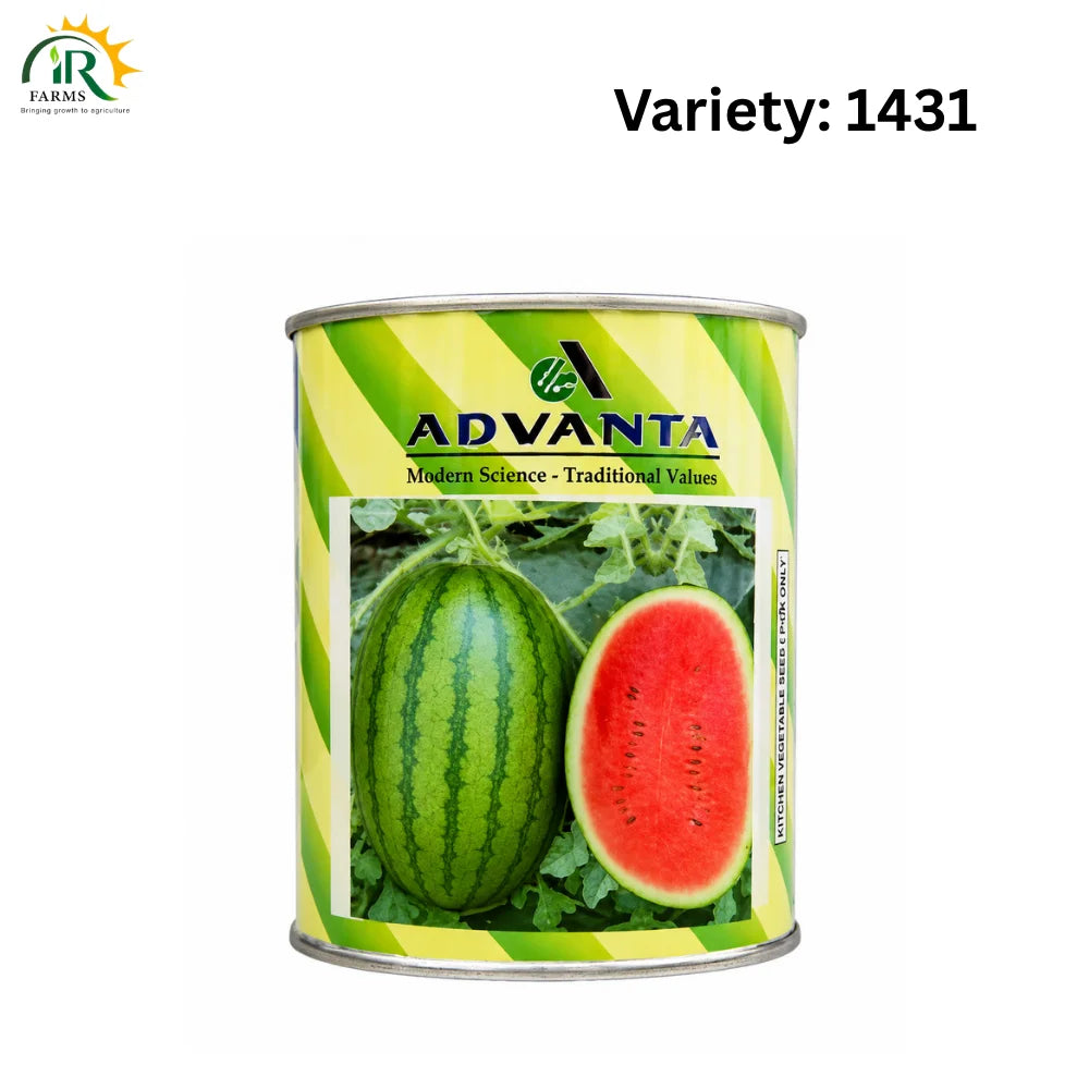 1431 Advanta F1 Hybrid Watermelon Seeds