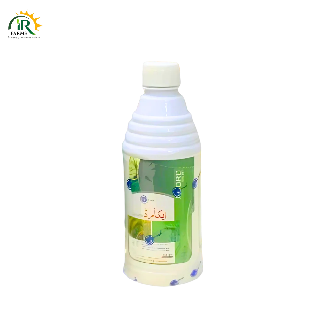 Acord 10WP &nbsp;Rice Weedicide