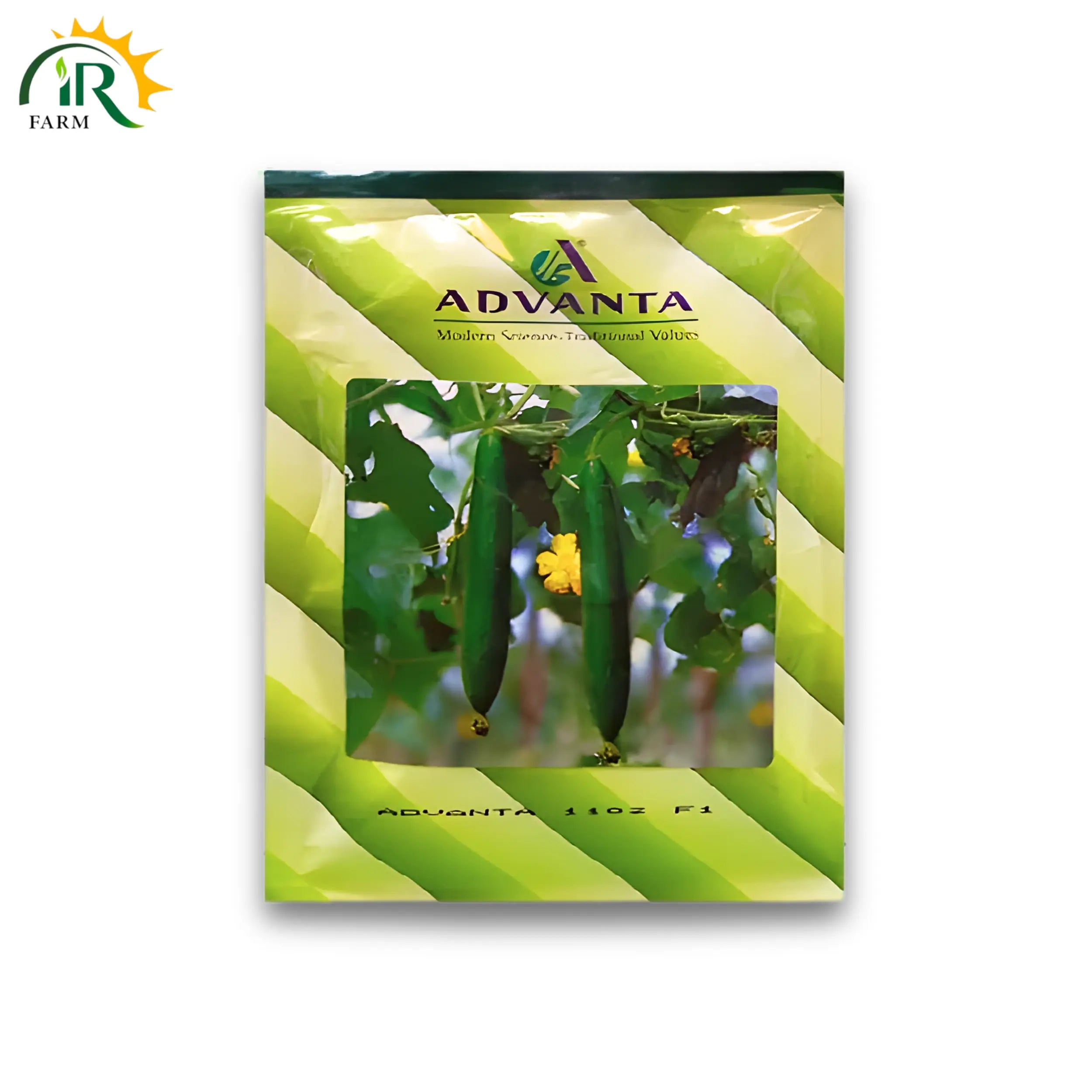 Advanta 1102 F1 Sponge Gourd Seeds