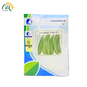 Advanta 1101 F1 Sponge Gourd Hybrid Seeds 50gm