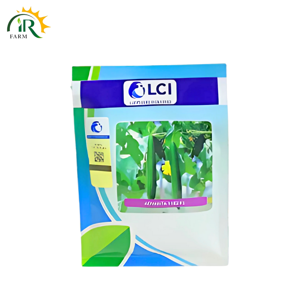 Advanta 1102 F1 Sponge Gourd Seeds – 50 Hybrid Seeds | ICI LCI Kali Tori for Kitchen Gardening