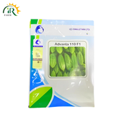 Advanta 110 F1 Hybrid Karela – Bitter Gourd Seeds 50gm | ICI Pakistan | High Yield, Disease Resistant, Tunnel Sowing Hybrid
