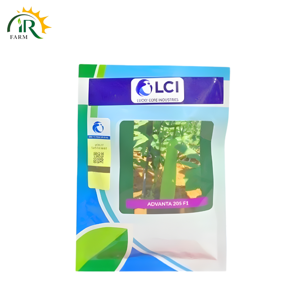 Advanta 205 F1 Bottle Gourd Seeds 50 gm LCI Loki Kaddu Seed Lamba Kaddu Seed