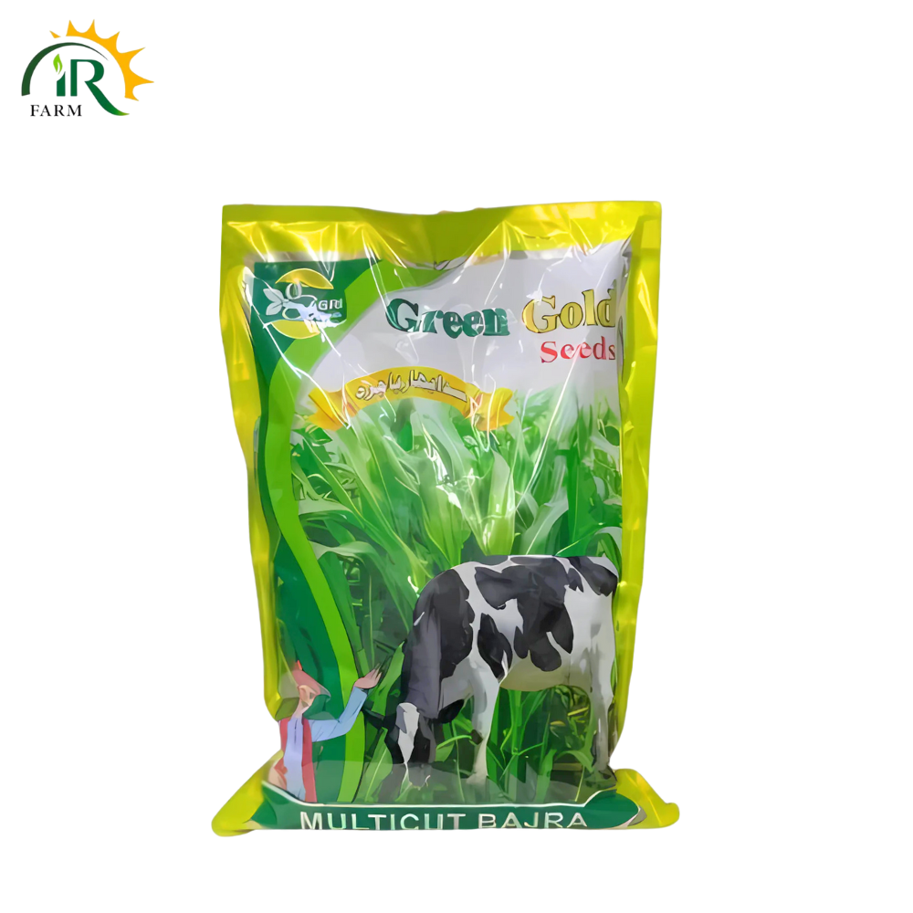 Bajra Multicut 2kg – Hybrid Millet Fodder Seed | Green Gold