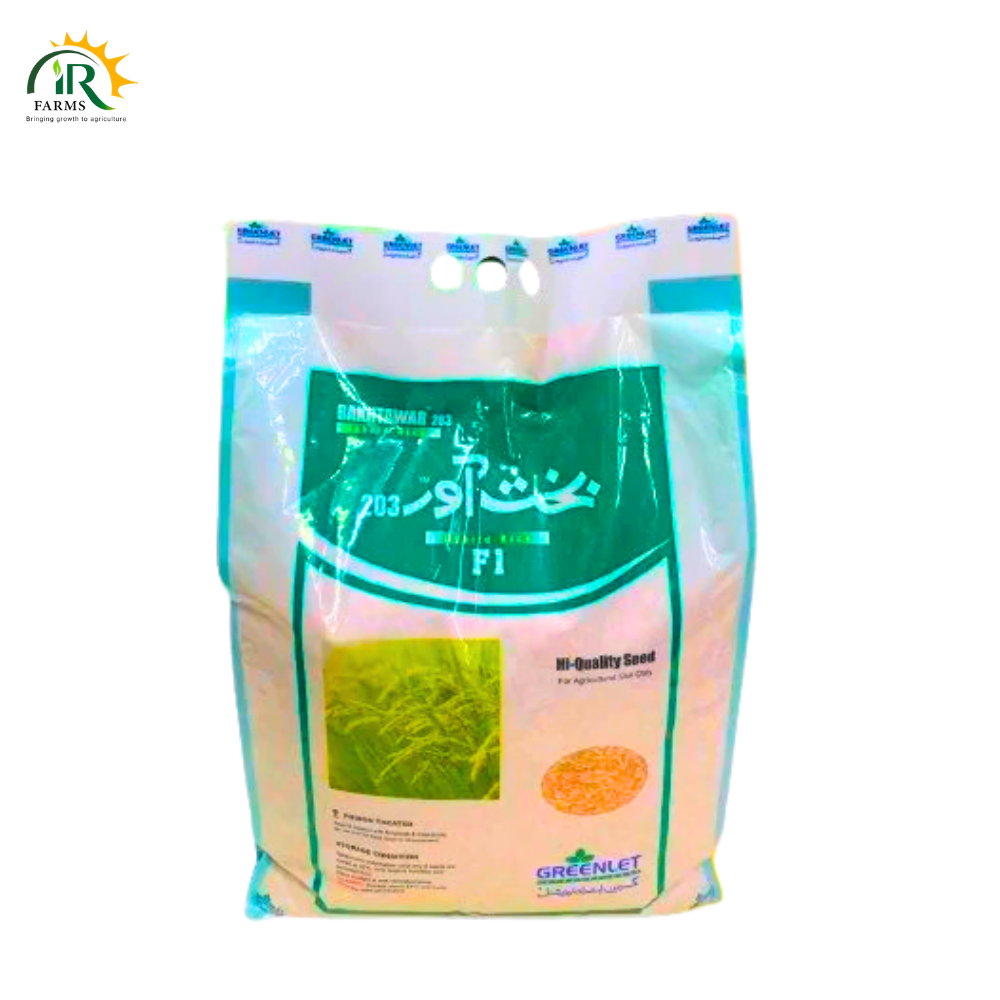 Bakhtawar 203 Hybrid Rice