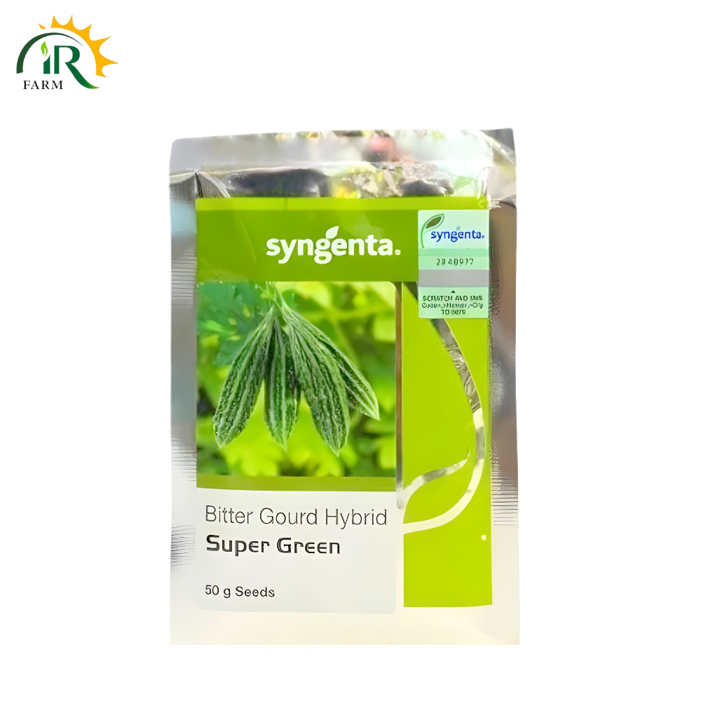 Bitter Gourd Hybrid Super Green 50GM Seeds Syngenta Pakistan