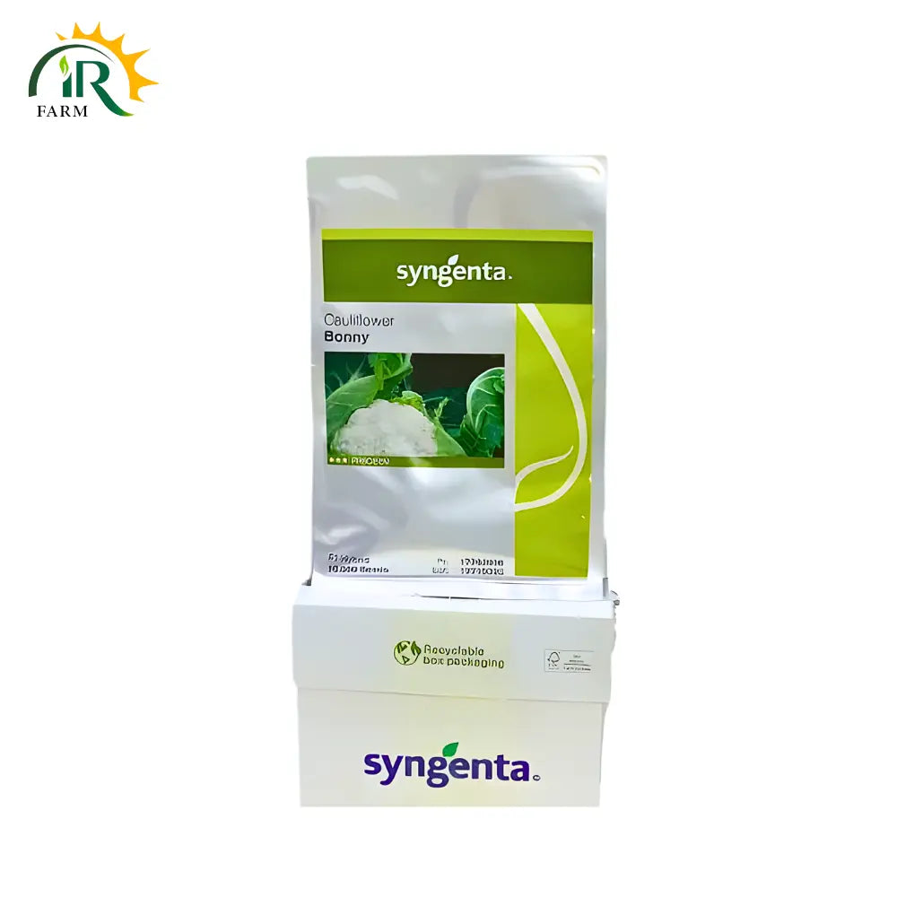 Bonny 10000 Seeds F1 Hybrid Cauliflower - Exceptional Disease Resistance for Higher Yields